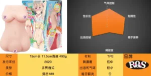 海边邂逅的美少女——RQS水原诗羽简评-元气神秘工坊